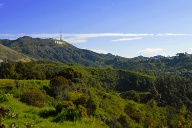 Hollywood Sign