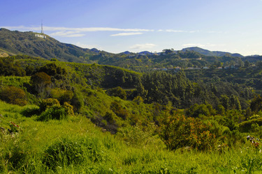 Hollywood Sign