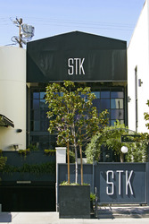 STK Steak House