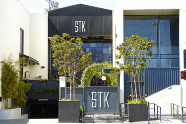 STK Steak House