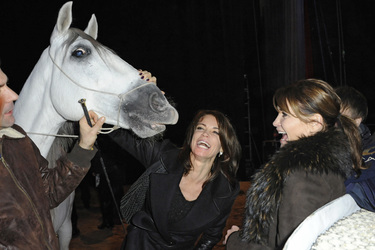 Gerit Kling, Anja Kling