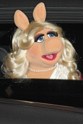 Miss Piggy