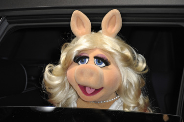 Miss Piggy