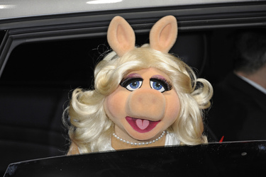 Miss Piggy