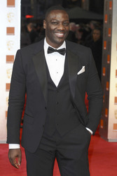 Adewale Akinnuoye-Agbaje