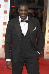 Adewale Akinnuoye-Agbaje