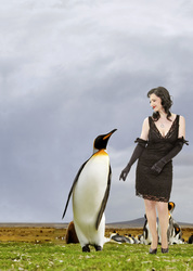Tanzen mit einem Pinguin / Dancing with a Penguin