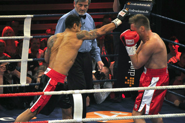 Daniel Aminati, Nico Schwanz