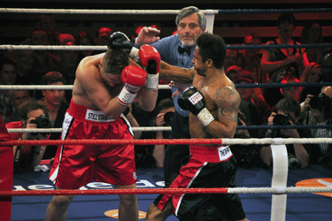 Nico Schwanz, Daniel Aminati