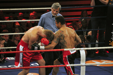 Nico Schwanz, Daniel Aminati