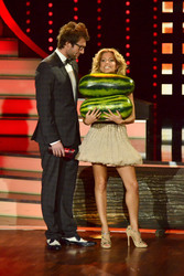 Daniel Hartwich, Sylvie van der Vaart