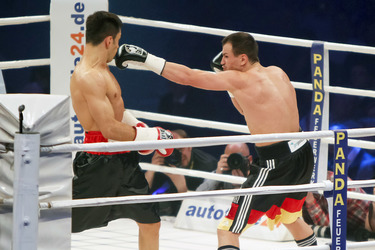 Felix Sturm, Sebastian Zbik