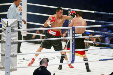 Felix Sturm, Sebastian Zbik