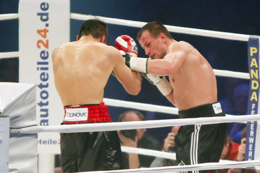 Felix Sturm, Sebastian Zbik