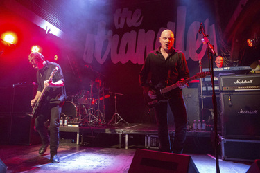 Jean-Jacques Burnel, Jet Black, Baz Warne, Dave Greenfield (The Stranglers)