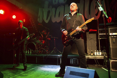 Jean-Jacques Burnel, Jet Black, Baz Warne, Dave Greenfield (The Stranglers)