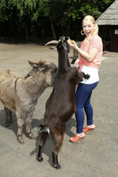 Leonore 'Leo' Bartsch (Queensberry)