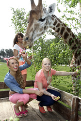 Ronja Hilbig, Gabriella 'Gabby' De Almeida Rinne, Leonore 'Leo' Bartsch (Queensberry)