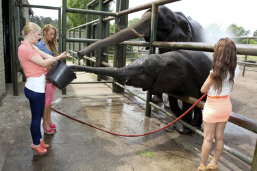 Leonore 'Leo' Bartsch, Ronja Hilbig, Gabriella 'Gabby' De Almeida Rinne (Queensberry)