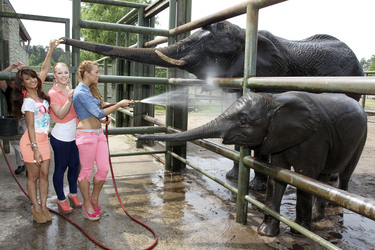 Gabriella 'Gabby' De Almeida Rinne, Ronja Hilbig, Leonore 'Leo' Bartsch (Queensberry)