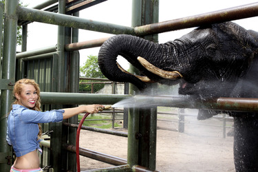 Ronja Hilbig (Queensberry)