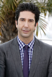 David Schwimmer