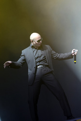 Pitbull