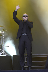 Pitbull
