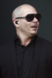 Pitbull