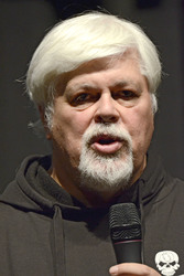 Paul Watson