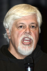 Paul Watson