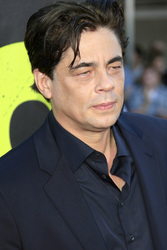 Benicio Del Toro