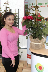 Susianna 'Susi' Kentikian