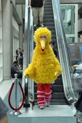 Comic-Con Besucher - Bibo aus der Sesamtraße