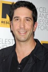 David Schwimmer