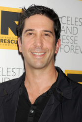 David Schwimmer