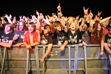 Metal Fans