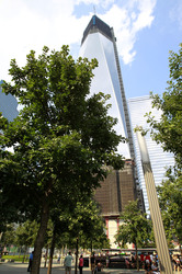 National September 11 Memorial and Museum - One World Trade Center / Freedom Tower
