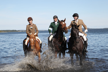 Judith Rakers, Till Demtroder, Andreas Pfaff