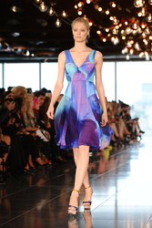 Matthew Williamson Model