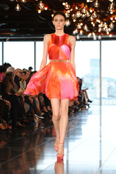 Matthew Williamson Model