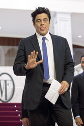 Benicio Del Toro
