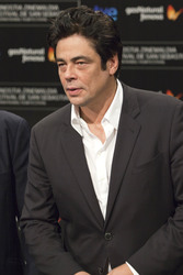 Benicio Del Toro