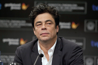 Benicio Del Toro