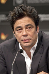 Benicio Del Toro