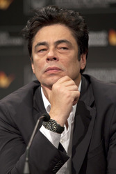 Benicio Del Toro