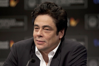 Benicio Del Toro