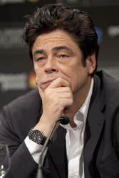 Benicio Del Toro