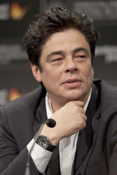 Benicio Del Toro