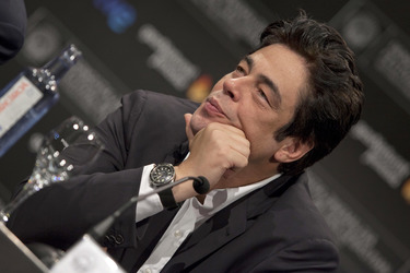 Benicio Del Toro